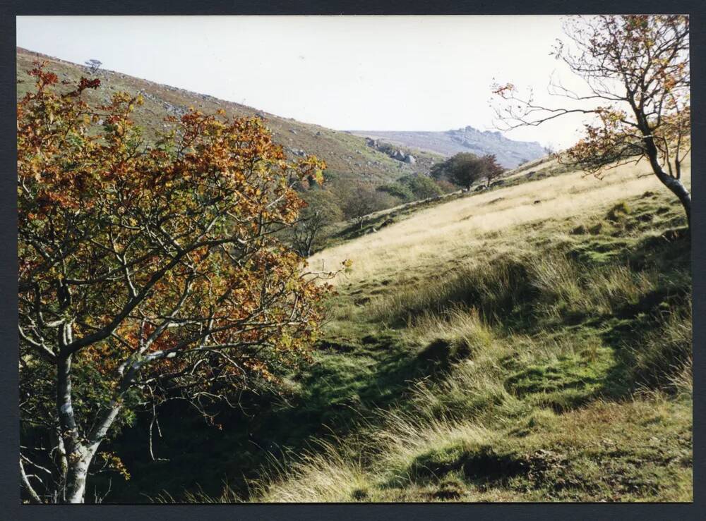 An image from the Dartmoor Trust Archive