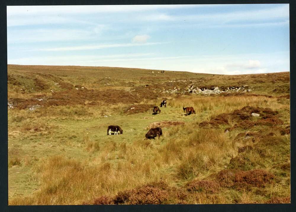 An image from the Dartmoor Trust Archive