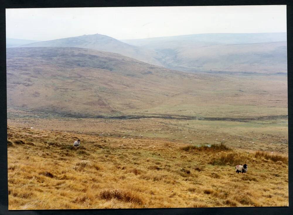 An image from the Dartmoor Trust Archive