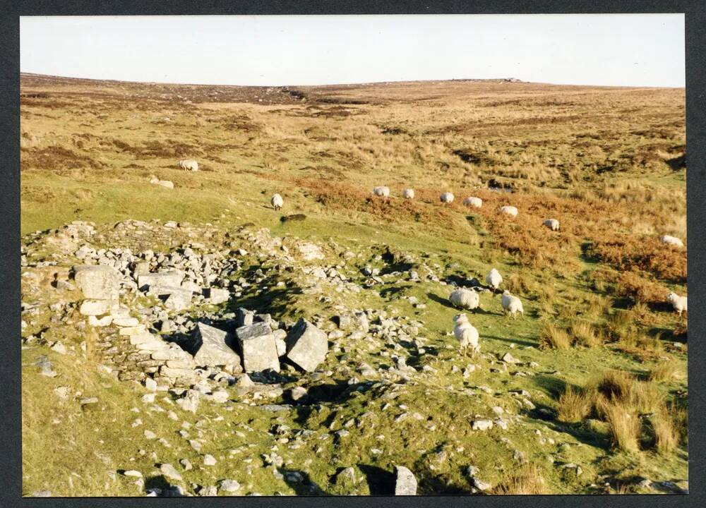 An image from the Dartmoor Trust Archive