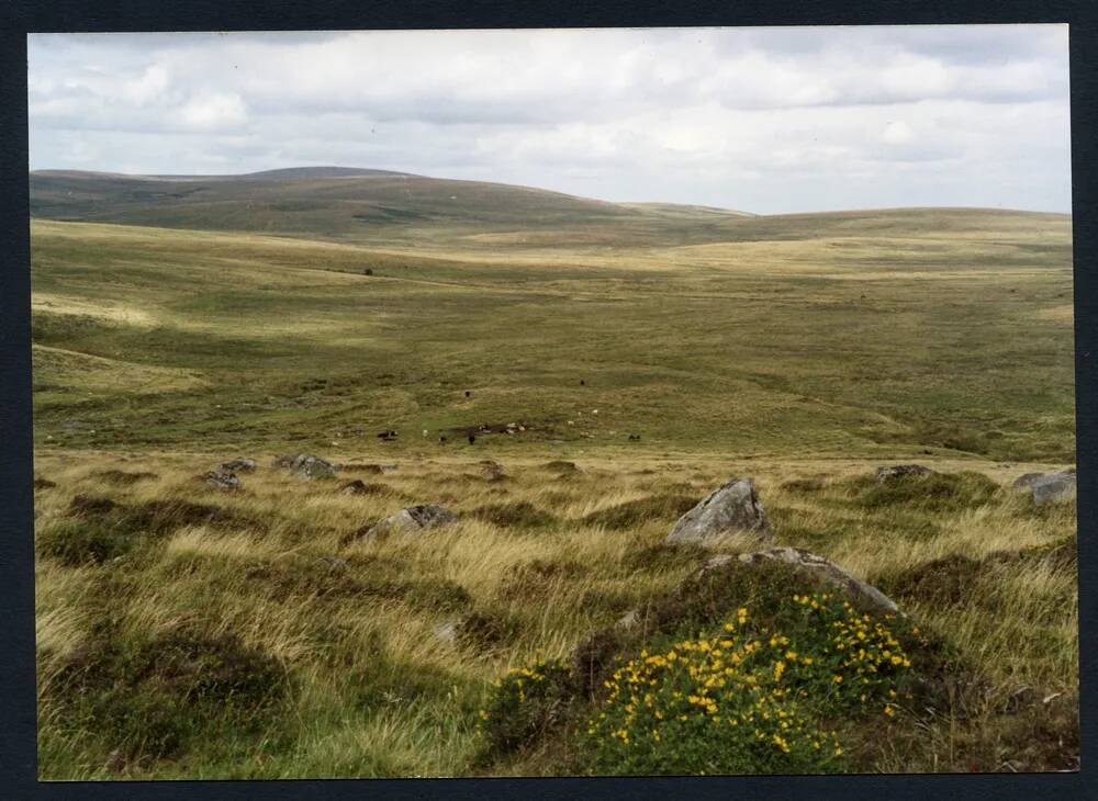 An image from the Dartmoor Trust Archive