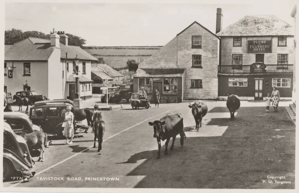 An image from the Dartmoor Trust Archive