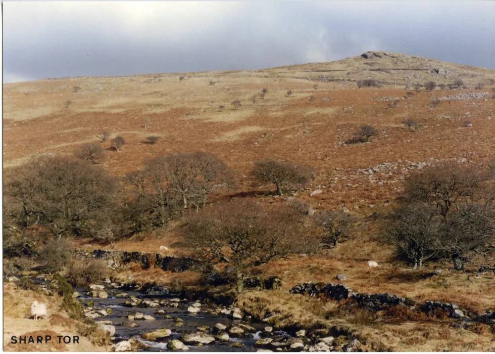 An image from the Dartmoor Trust Archive