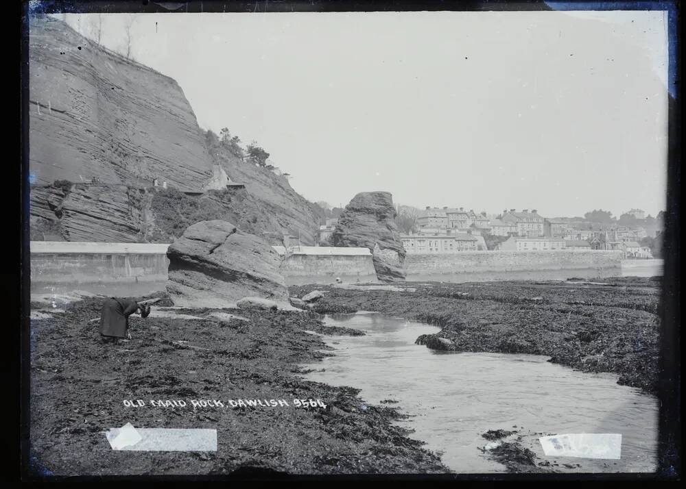 Old Maid Rock, Dawlish