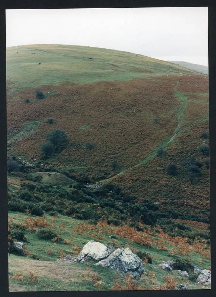 An image from the Dartmoor Trust Archive