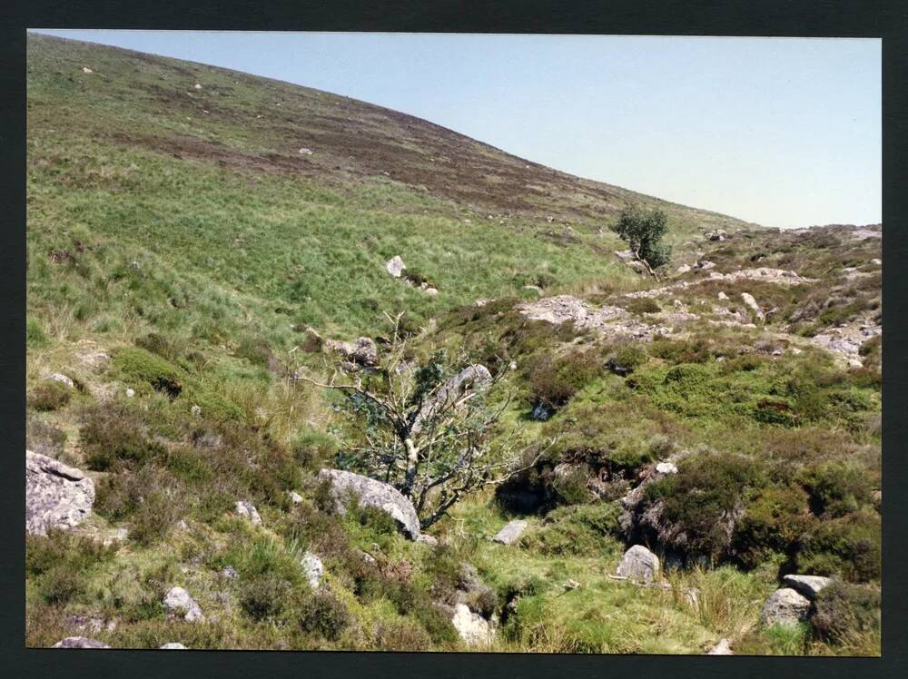 An image from the Dartmoor Trust Archive