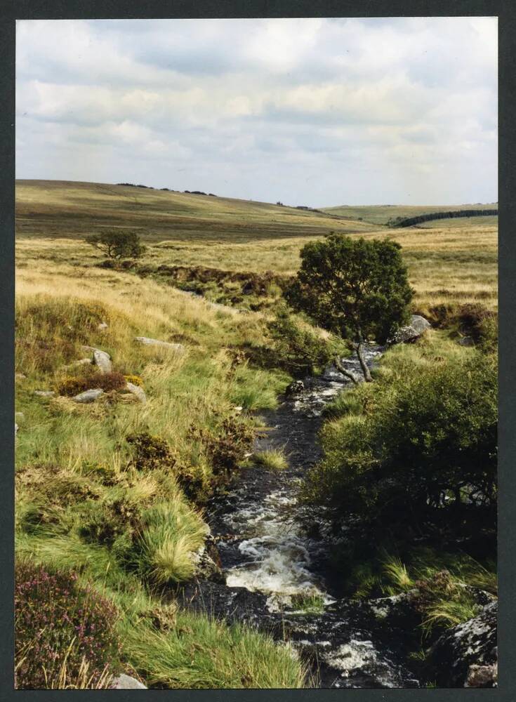 An image from the Dartmoor Trust Archive