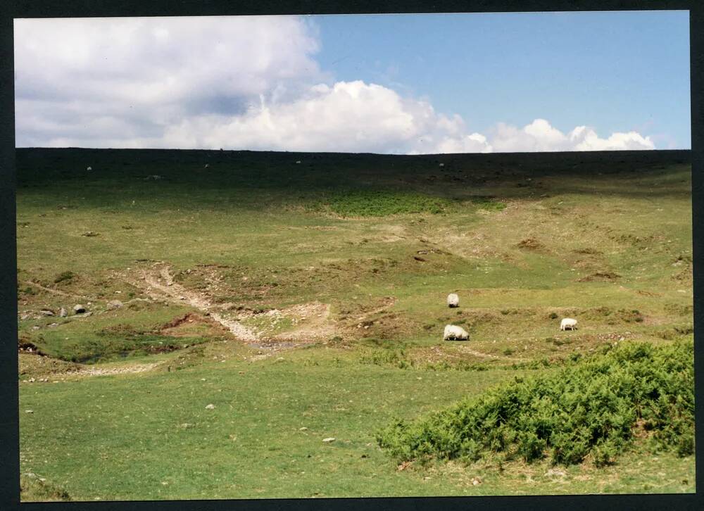 An image from the Dartmoor Trust Archive