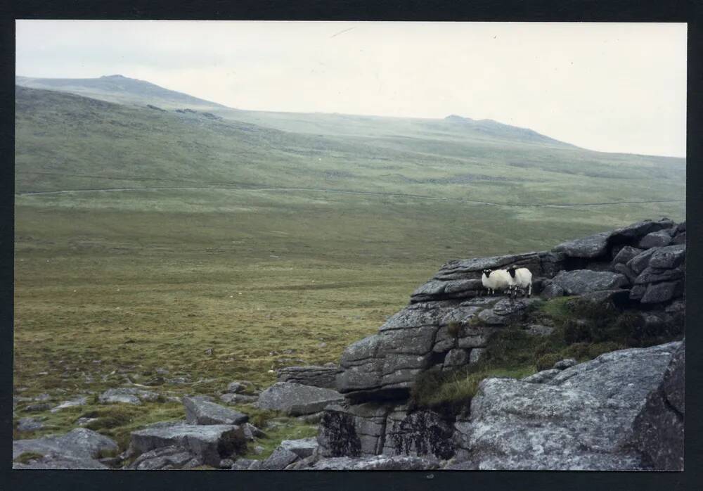 An image from the Dartmoor Trust Archive