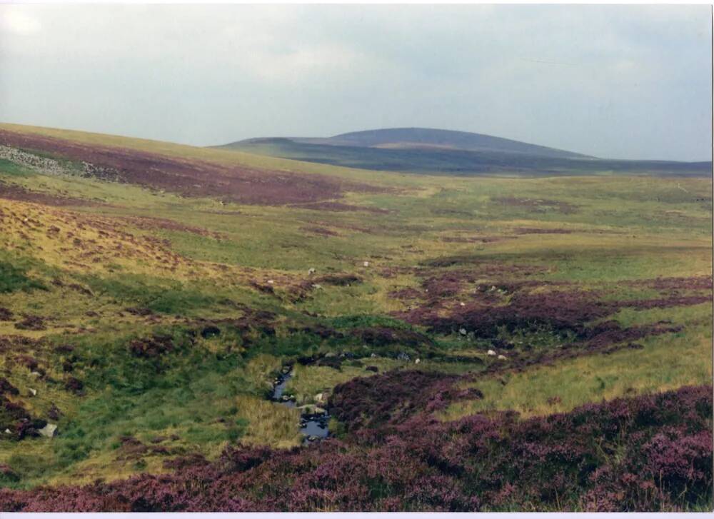 An image from the Dartmoor Trust Archive