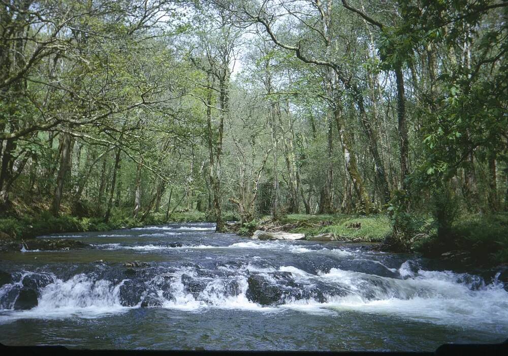 An image from the Dartmoor Trust Archive