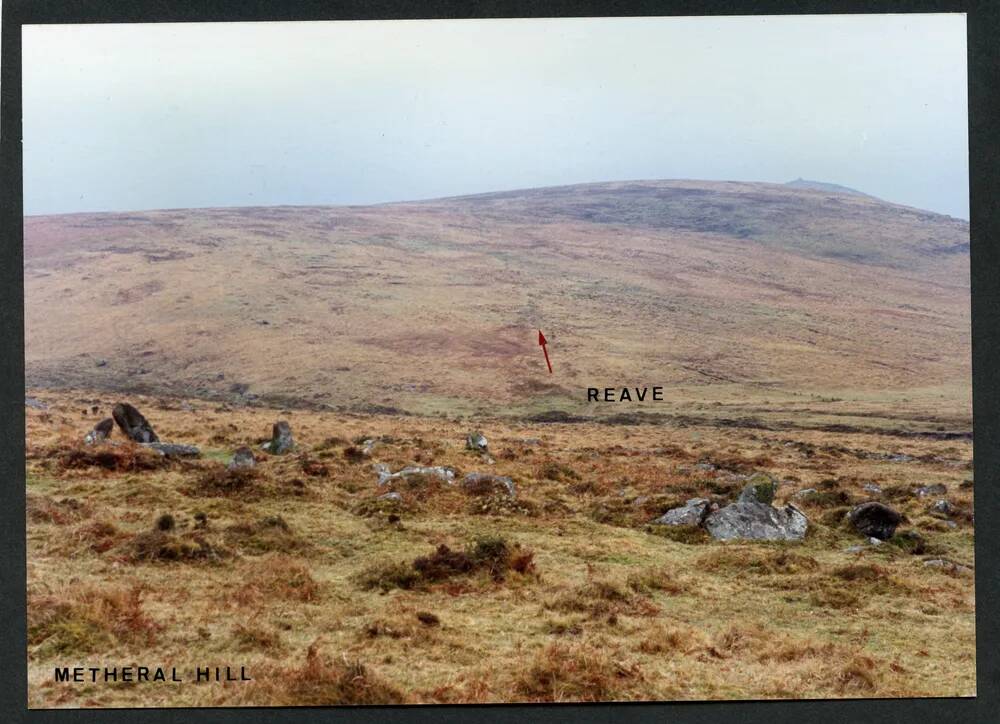 An image from the Dartmoor Trust Archive