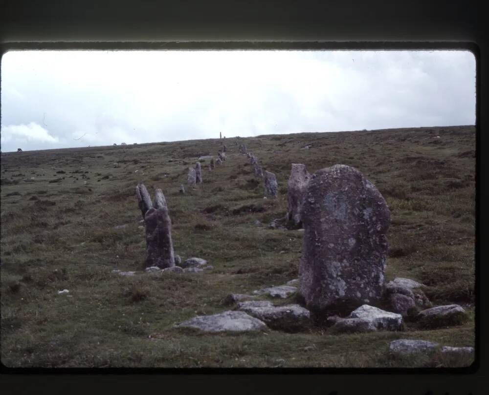 Hurston Ridge stone row