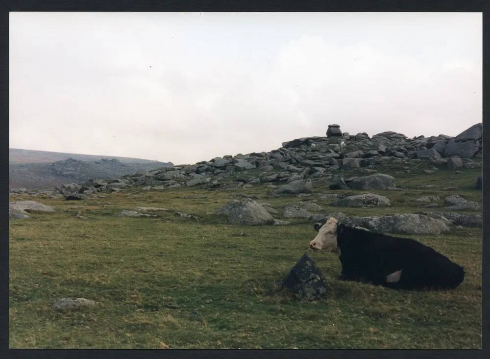 An image from the Dartmoor Trust Archive