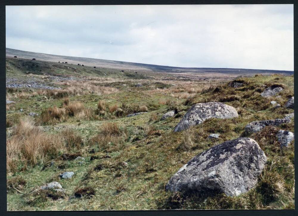 An image from the Dartmoor Trust Archive