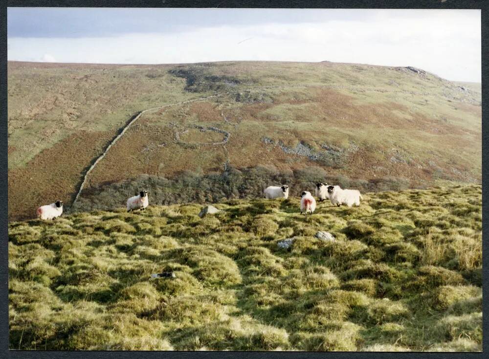 An image from the Dartmoor Trust Archive