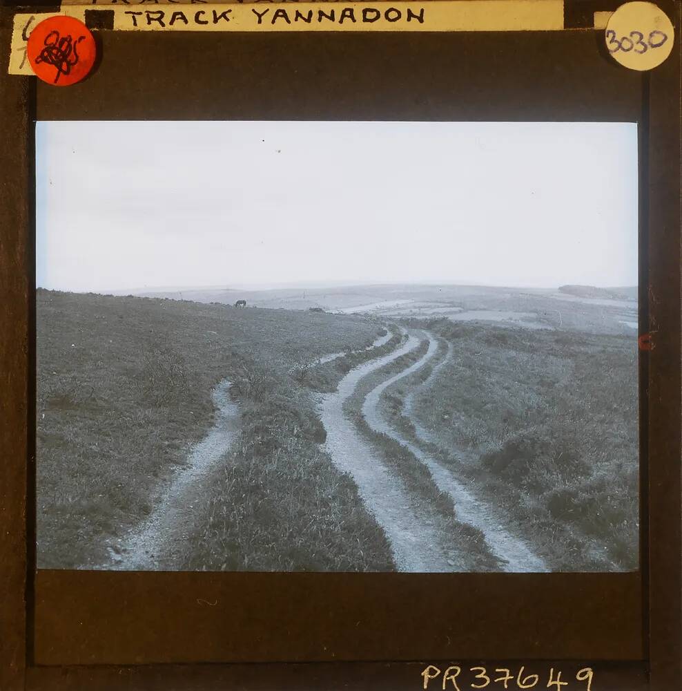 An image from the Dartmoor Trust Archive