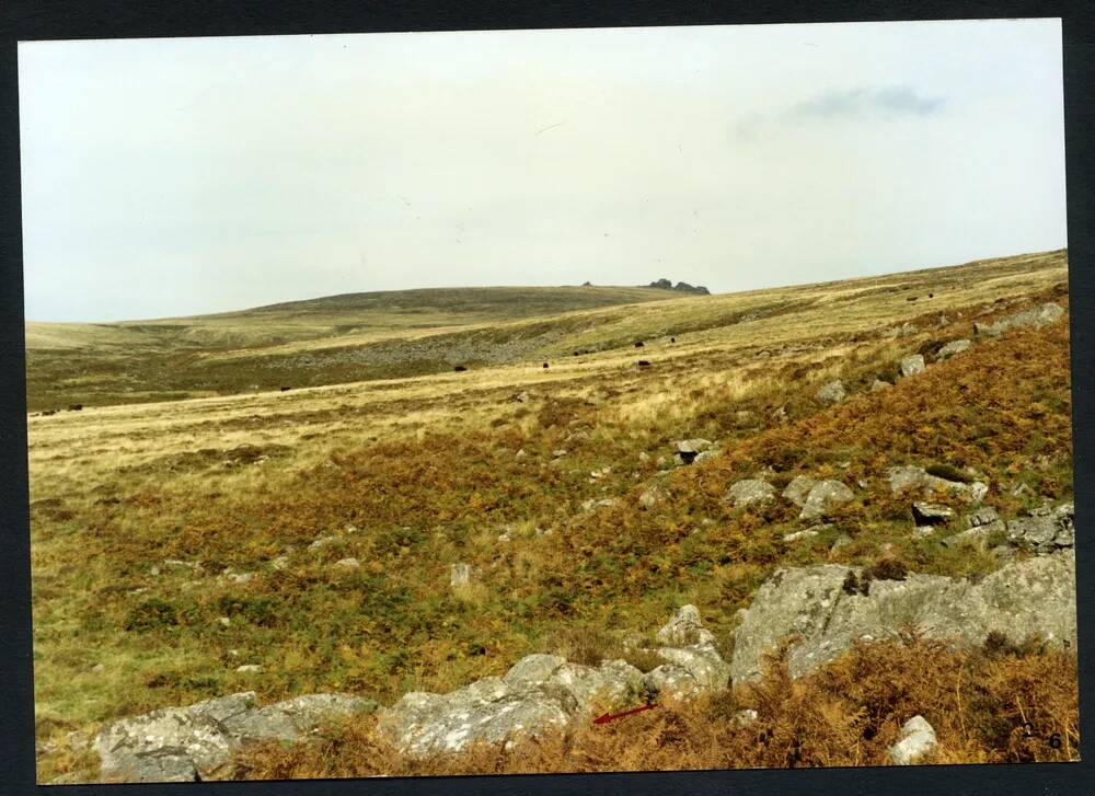 An image from the Dartmoor Trust Archive