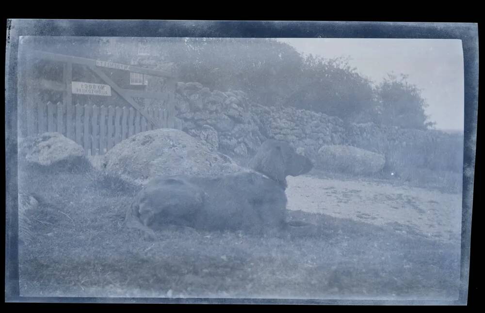 An image from the Dartmoor Trust Archive