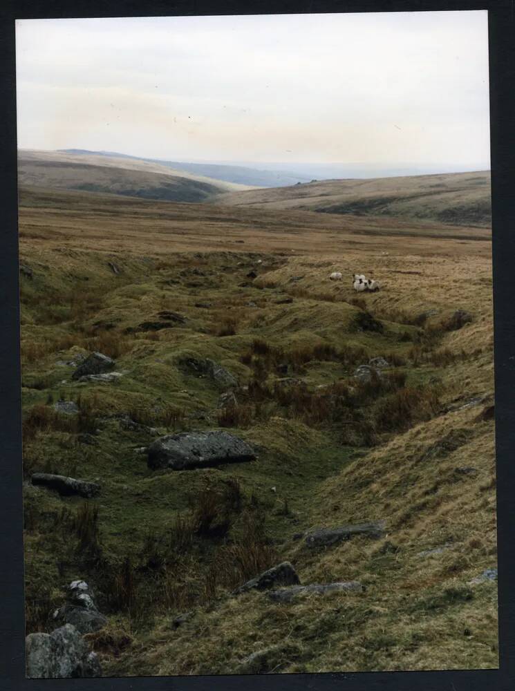 An image from the Dartmoor Trust Archive