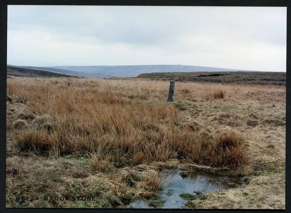 33/21 Wellabrook stone to Eastern Wittaburrow 25/4/1991