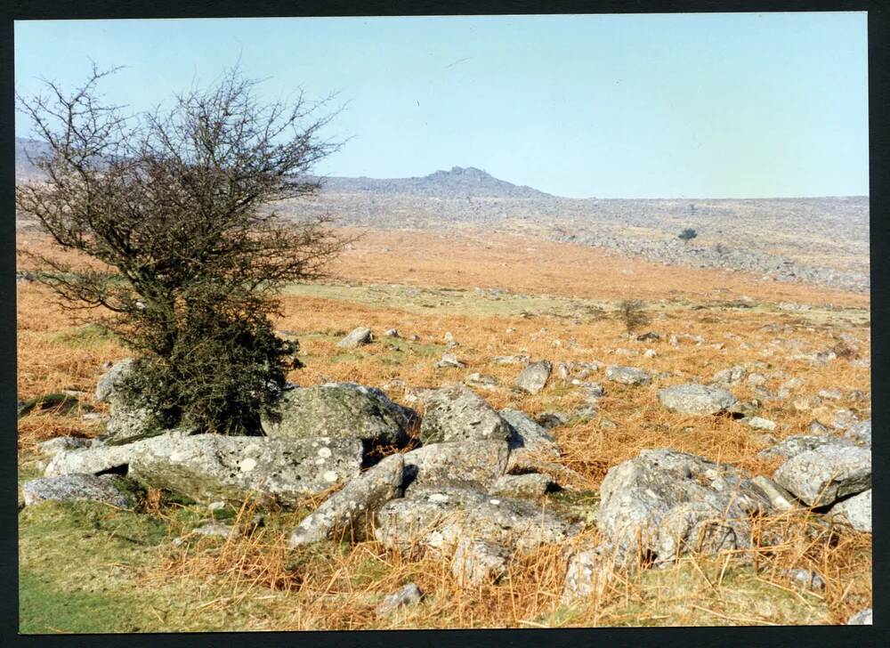 An image from the Dartmoor Trust Archive