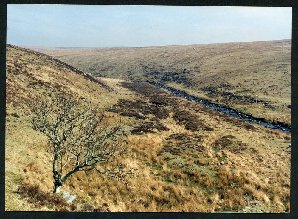 An image from the Dartmoor Trust Archive