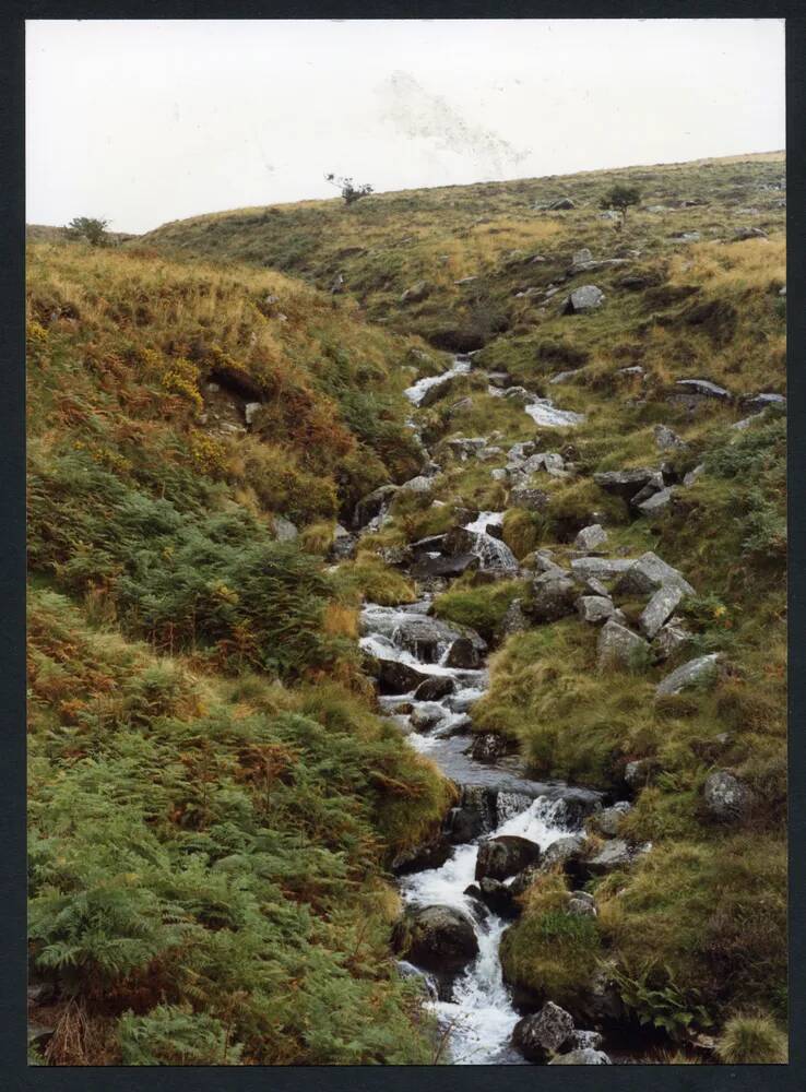 An image from the Dartmoor Trust Archive