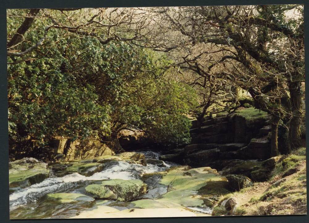 36/19 Avon above Shipley bridge 15/4/1991