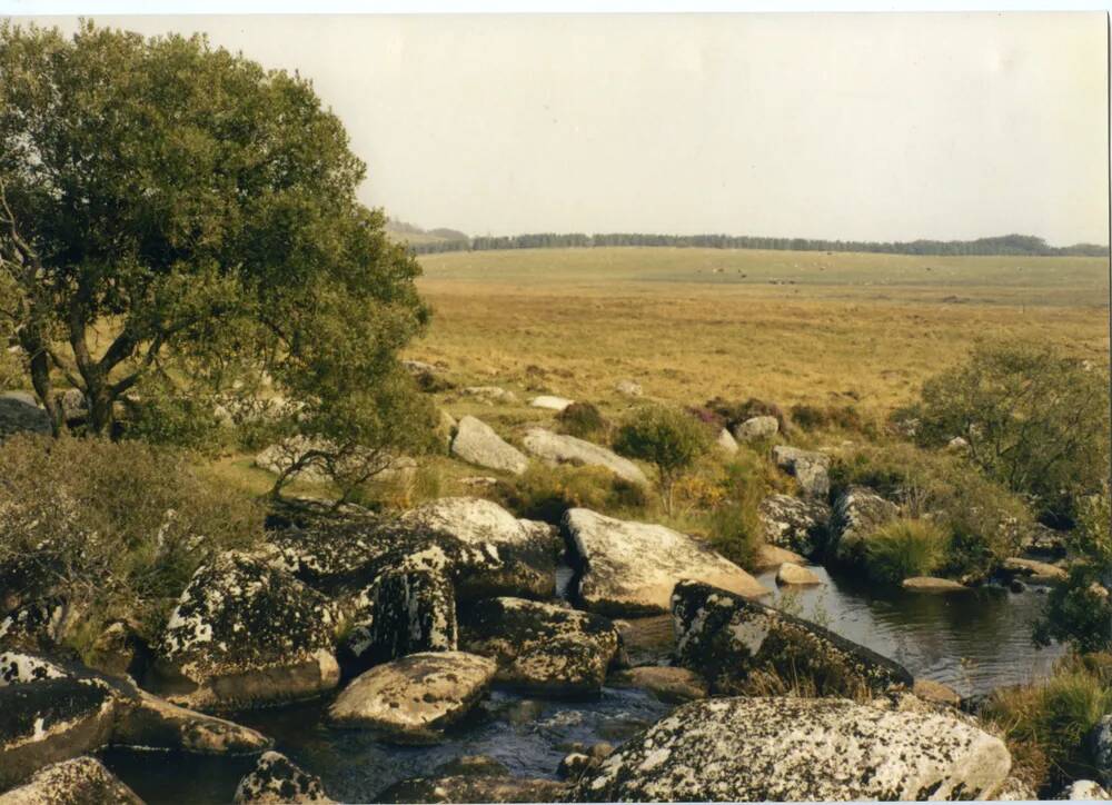 An image from the Dartmoor Trust Archive