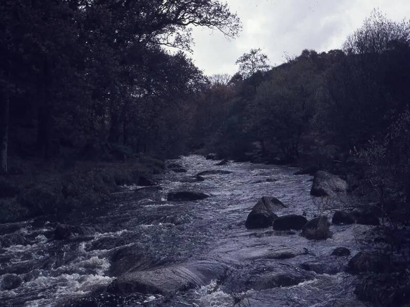 An image from the Dartmoor Trust Archive