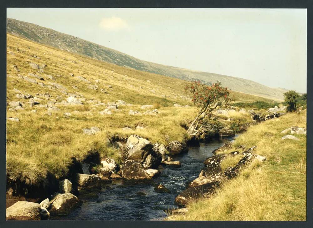 An image from the Dartmoor Trust Archive