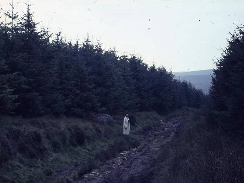 An image from the Dartmoor Trust Archive