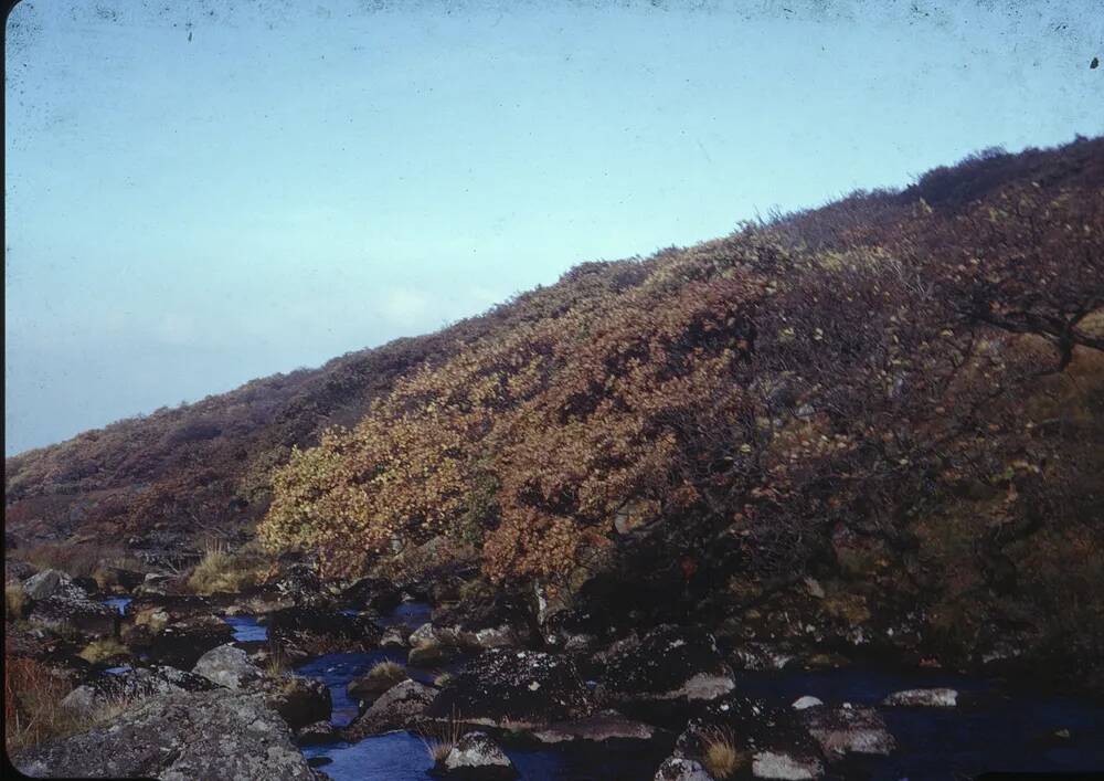 An image from the Dartmoor Trust Archive