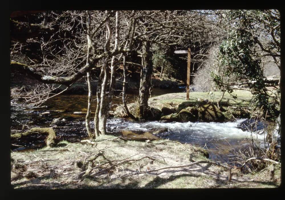 Walla Brook confluence with East Dart River