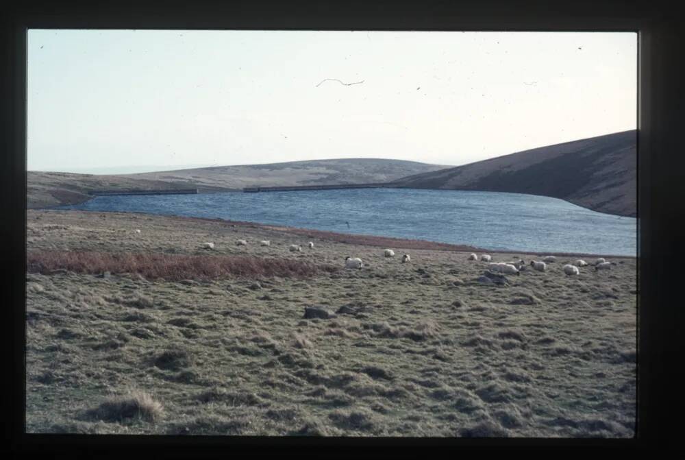 Avon Reservoir