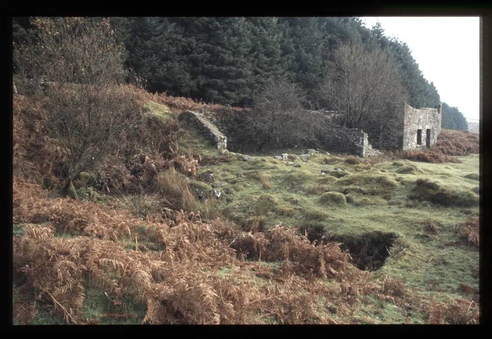 House and Wheel Pit  near Vitifer