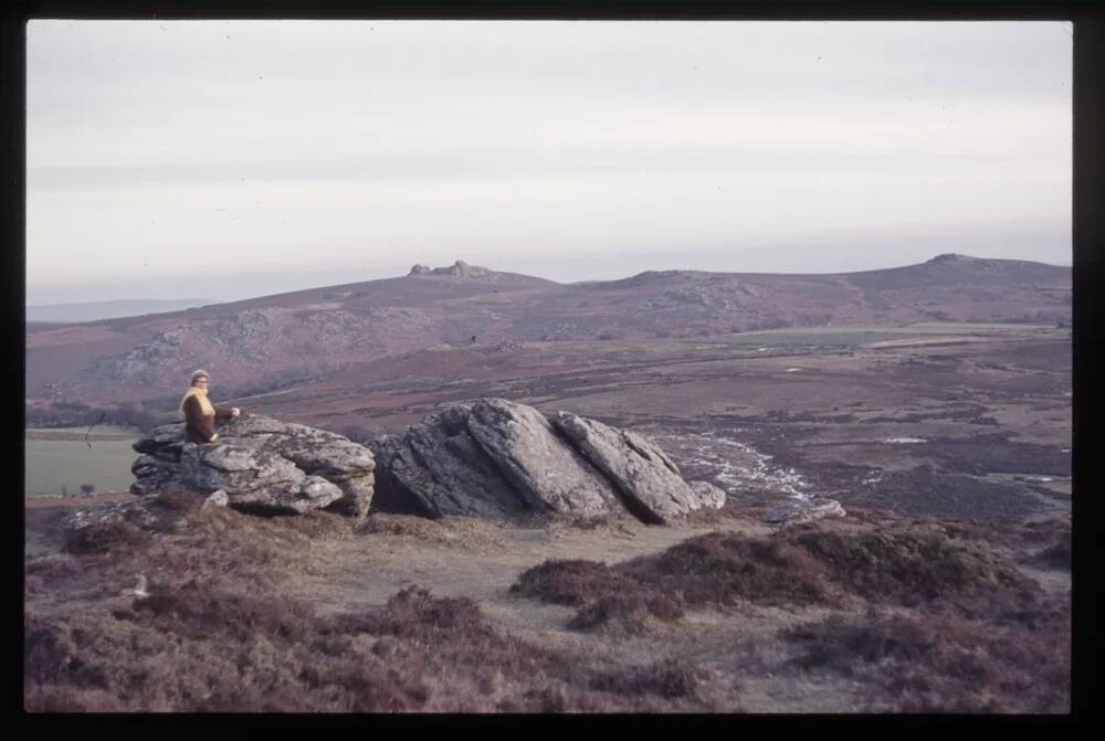 Honeybag Tor