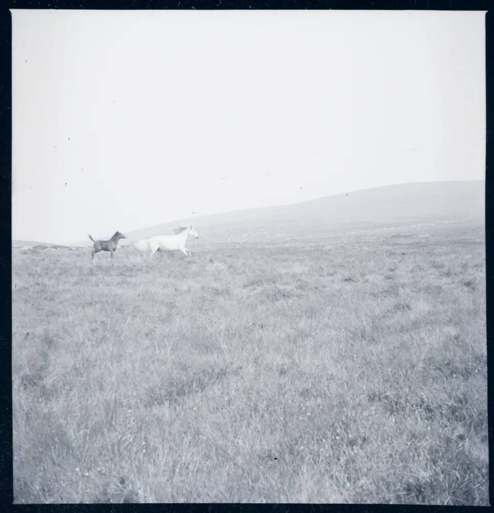 An image from the Dartmoor Trust Archive