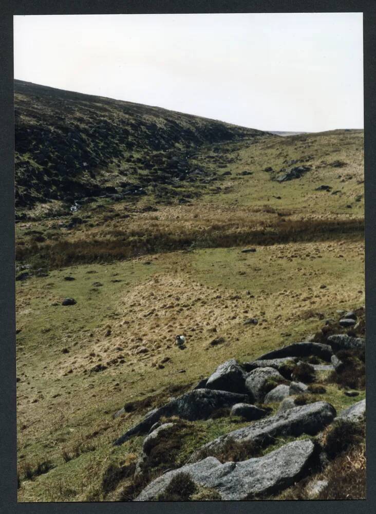 An image from the Dartmoor Trust Archive