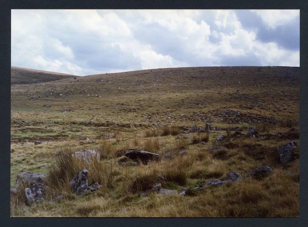 An image from the Dartmoor Trust Archive