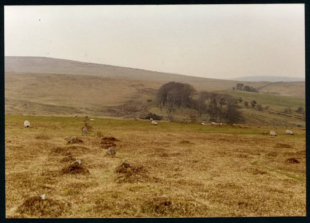 8/14 Stone row above W Glaze (river bank) 27/3/1991