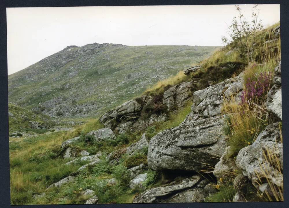 An image from the Dartmoor Trust Archive