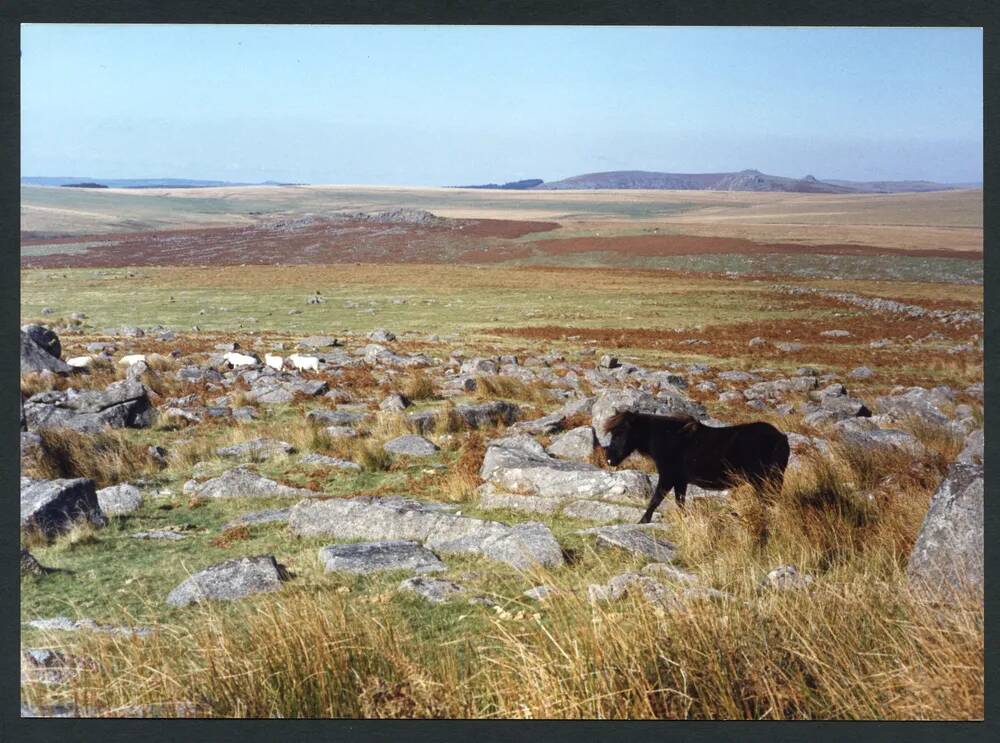 4/52 Lower Trowlesworthy Tor to Legis Tor 16/10/1993