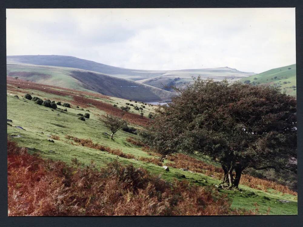 An image from the Dartmoor Trust Archive