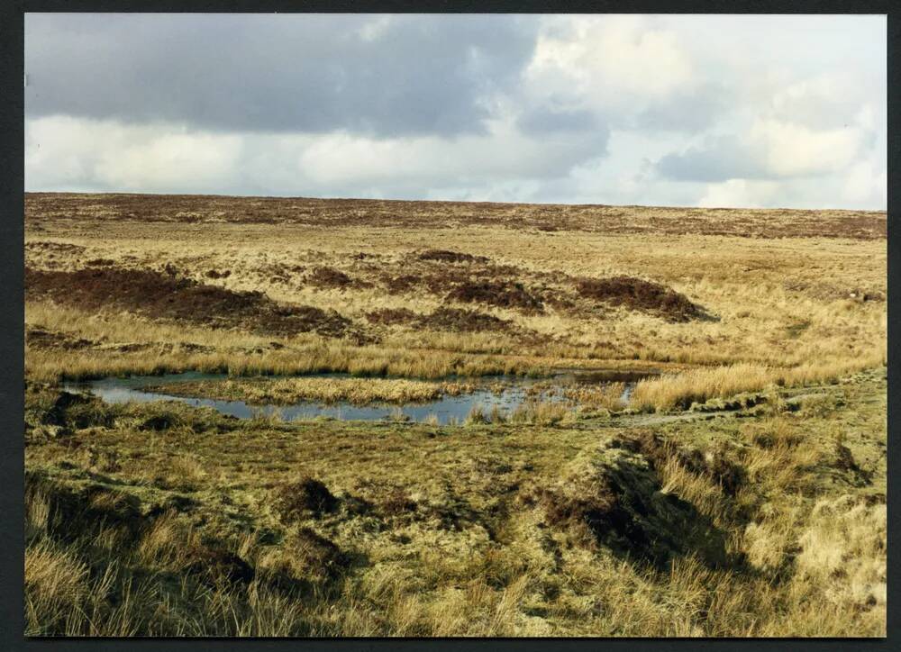 8/9 Clay workings source of Bala Brook 28/2/1991