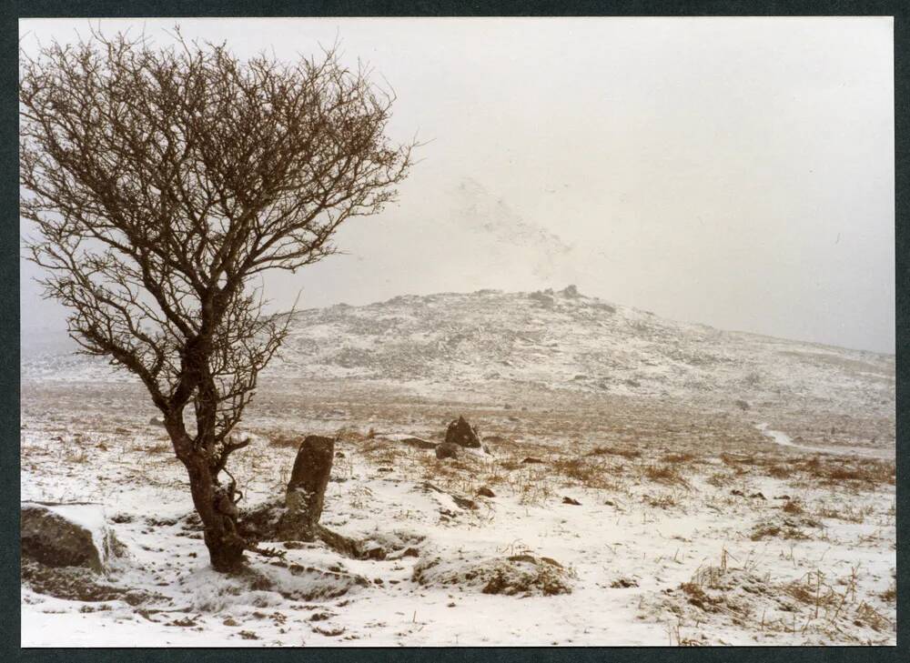 An image from the Dartmoor Trust Archive