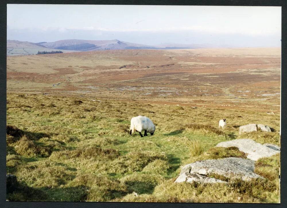 An image from the Dartmoor Trust Archive