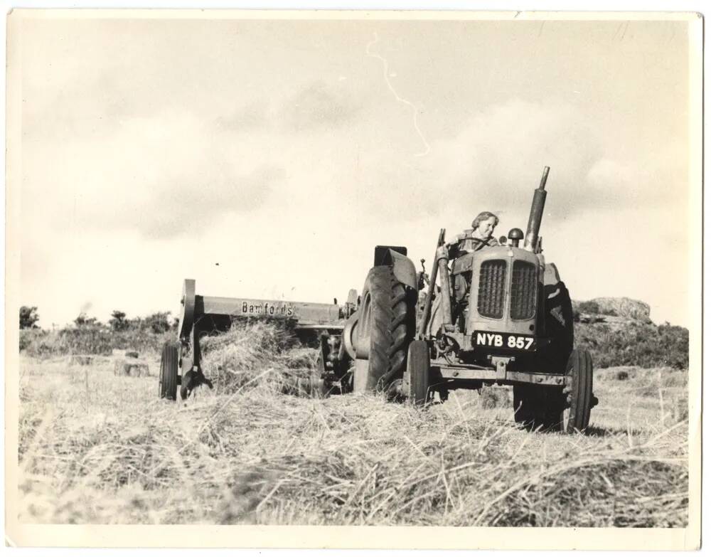 An image from the Dartmoor Trust Archive