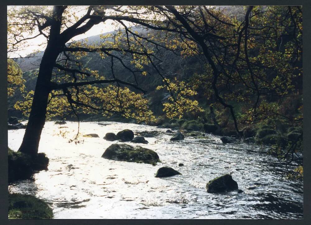 An image from the Dartmoor Trust Archive